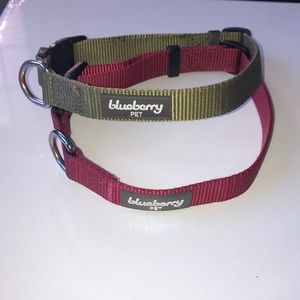 2 medium dog collars